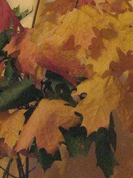 Осень... Листья..